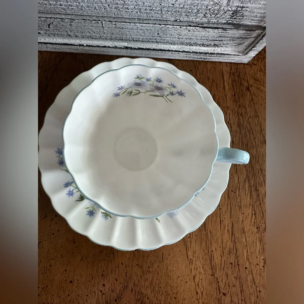 Vintage Rare Shelley English Bone China tea cup and saucer Excellent condition